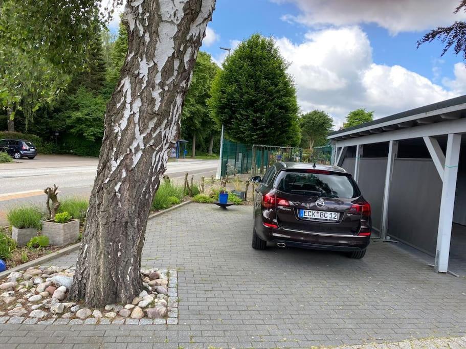 Kleines Nordlicht * Eckernfoerde